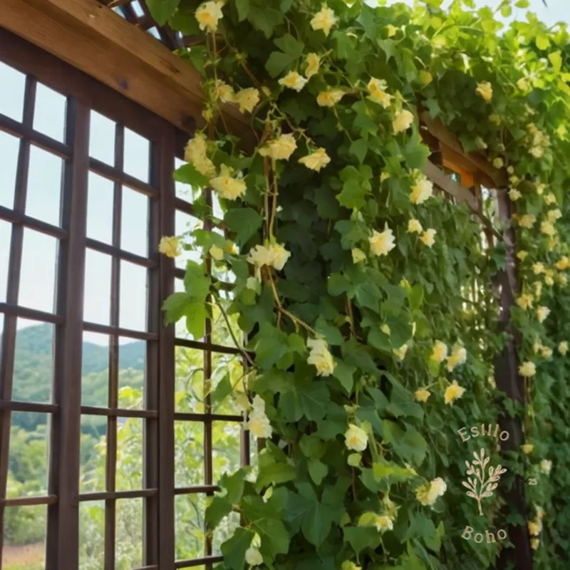 A lush, flowering vine climbing up a wooden trellis.